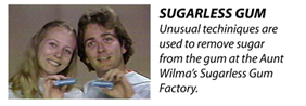 Sugarless Gum